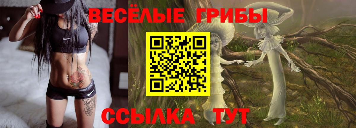 Тутаев  Галлюциногенные грибы ЛСД  Вход с VPN 